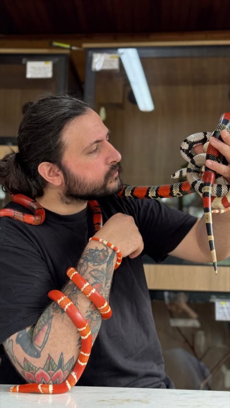 Chico segurando cobras de padrão coral